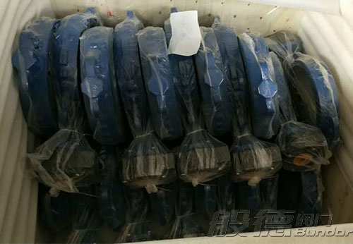 般德渦輪蝶閥、止回閥、過濾器等出口以色列