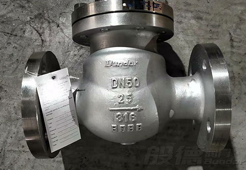 般德不銹鋼截止閥、旋啟式止回閥出口南非