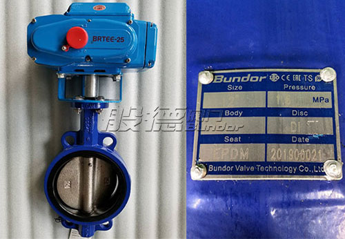 般德電動蝶閥、橡膠接頭出口科威特