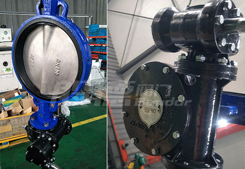 般德蝶閥、蝶式止回閥等出口秘魯