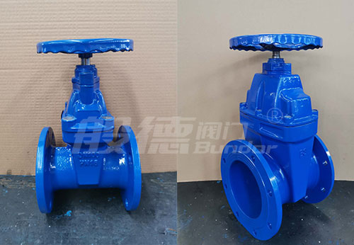 般德球墨鑄鐵閘閥、止回閥出口以色列