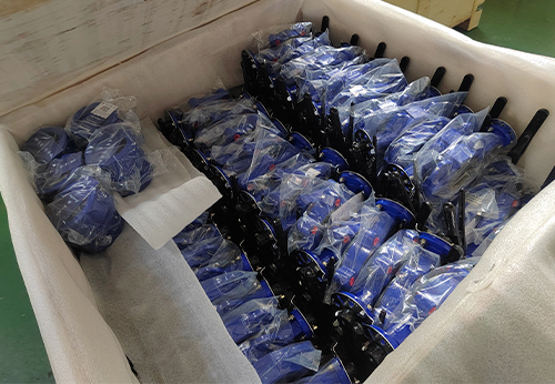 般德蝶閥、蝶式止回閥等產(chǎn)品出口澳大利亞