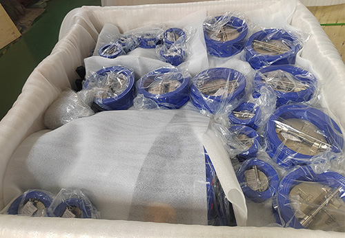 意大利某公司采購般德般德閥門止回閥、蝶閥產(chǎn)品